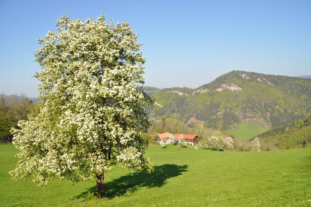 Apart Dirndltal Appartement Loich Buitenkant foto